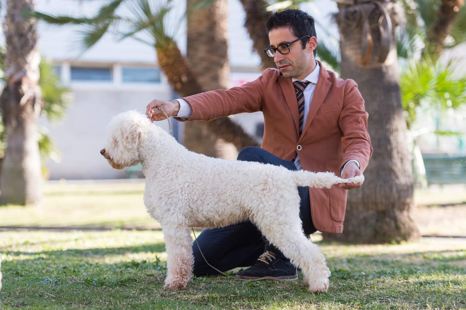 Cannella — Italian Champion Dam