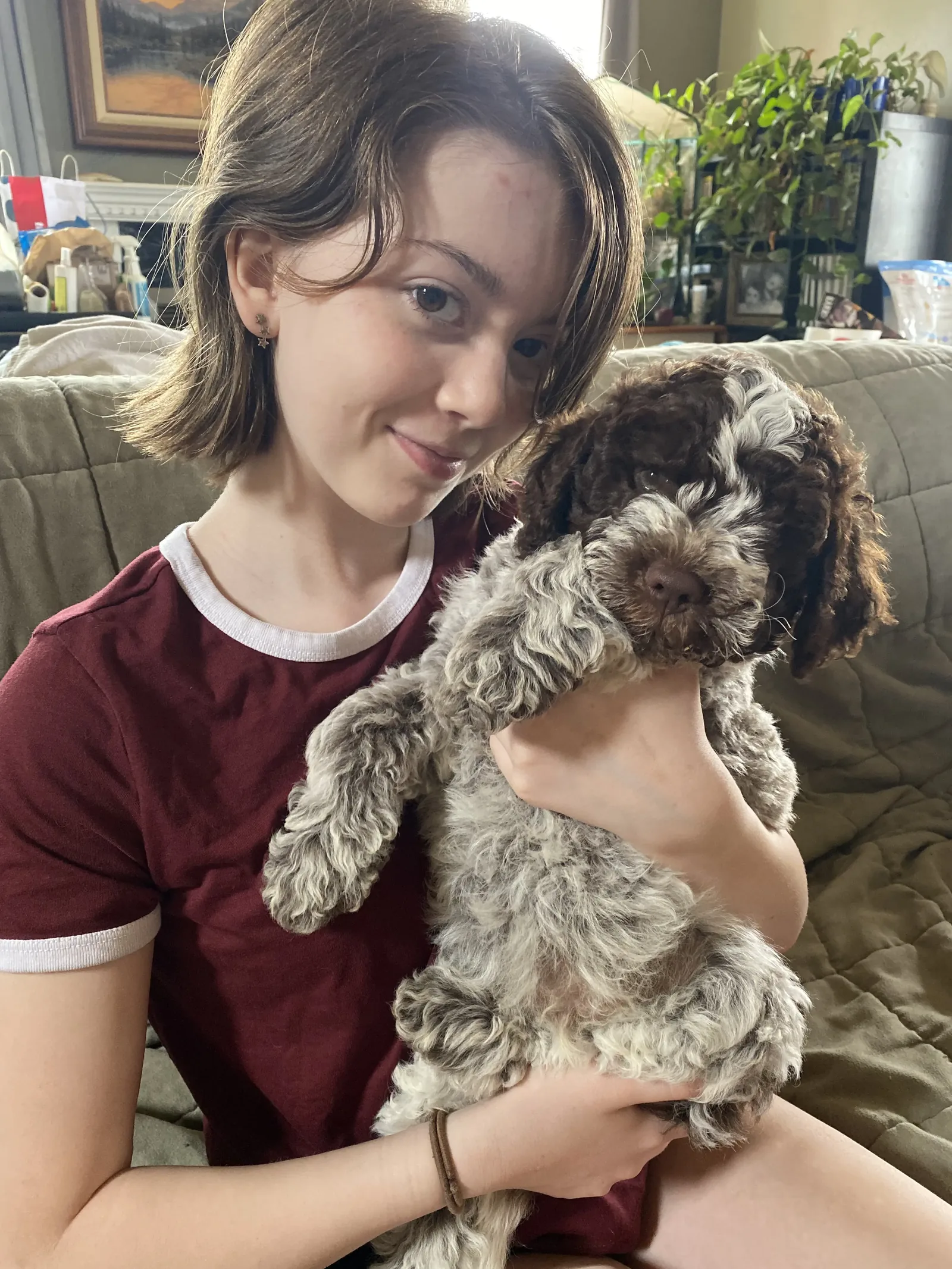 A teenager cradling a relaxed Lagotto Romagnolo puppy at home