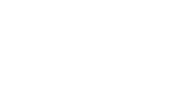 Northwest Lagotto